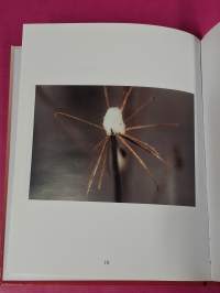 Rakastava pyhä henki