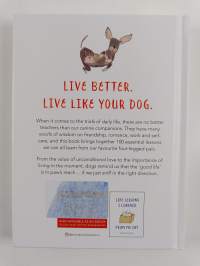 Life Lessons I Learned from my Dog