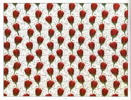 Taikasilmä 1 - Uusi tapa katsoa maailmaa  -Kolmiulotteisiä kuvia