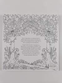 Den fortryllede skov : en magisk male- og tegnebog