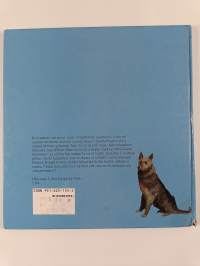 Korvarannan kummajainen