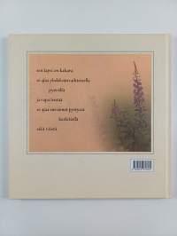 Lakeuden taivaan alla