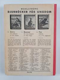 Bull : berättelse för ungdom den amerikanska buffeln