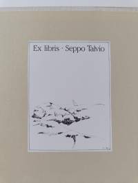 Matka vieraaseen maahan