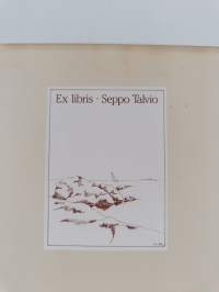 Aleksis Kiven ajatuksia