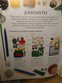 Ulkoilupäivän puuhakirja