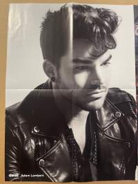 One Direction, Adam Lambert, Vampyyripäiväkirjat - Demi-lehden keskiaukeama -juliste