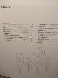 Lasin taikaa - Uusia ideoita lasimaalaukseen