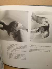 Lasin taikaa - Uusia ideoita lasimaalaukseen