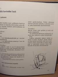 Lasin taikaa - Uusia ideoita lasimaalaukseen