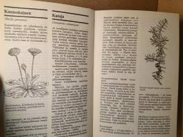 Mihin kasvimme kelpaavat - Ruokaa, ryytiä ja rohtoa luonnosta