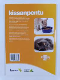Kissanpentu : Ohjeita onnellisen ja terveen lemmikin hoitoo