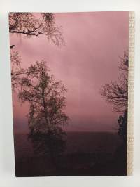 Family friends and food at the bolon lake house / björkudden