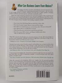 What We Learned in the Rainforest - Business Lessons from Nature