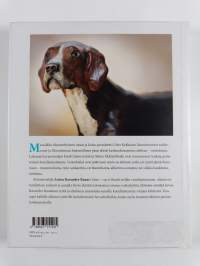 Eläinten veistäjä : Anton Ravander-Rauas ja suomalaisen eläinveistotaiteen huiput