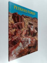Petrified Forest : the story behind the scenery
