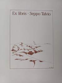 Meren avara työkenttä : Höyrylaiva osakeyhtiö Bore 1897-1972