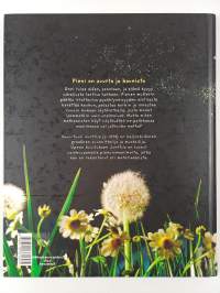 Missä, tässä, jossakin