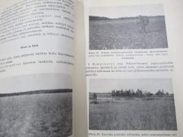 Metsän ojitus sekä ojien kunnossapito ja suometsien hoito