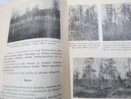 Metsän ojitus sekä ojien kunnossapito ja suometsien hoito