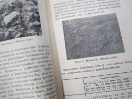 Metsämaaopin aakkoset