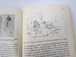 Metsämaaopin aakkoset