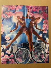 Twilight Epäilys - Demi-lehden keskiaukeama -juliste