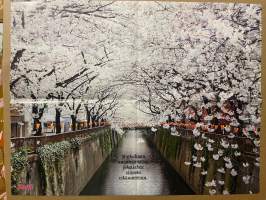 Valehtelevat viettelijät - Demi-lehden keskiaukeama -juliste