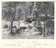 Metsämaa Hauhossa Hämeessä : pinx. Hjalmar MunsterhjelmMunsterhjelm, Hjalmar litografia1885Helsingfors : K. E. Holm 1885, A. Weger