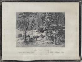 Metsämaa Hauhossa Hämeessä : pinx. Hjalmar MunsterhjelmMunsterhjelm, Hjalmar litografia1885Helsingfors : K. E. Holm 1885, A. Weger