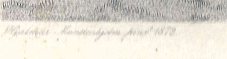 Metsämaa Hauhossa Hämeessä : pinx. Hjalmar MunsterhjelmMunsterhjelm, Hjalmar litografia1885Helsingfors : K. E. Holm 1885, A. Weger