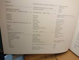 Hirsitalon kunnostaminen