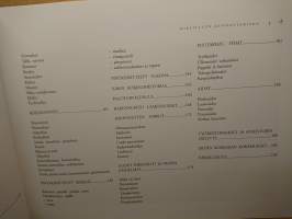 Hirsitalon kunnostaminen