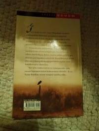 Aave joka maalasi taulun