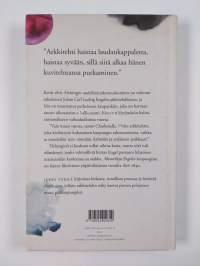 Akvarelleja Engelin kaupungista