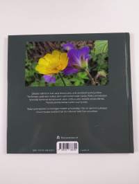 Kyynel ja kiitos : pieniä tarinoita suurista asioista