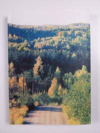 Karjalaisia kansanlauluja Kiihtelysvaarasta : Kyllikki Maliston kokoelma