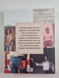 Renegades born in the USA : drömmarna, myterna, musiken