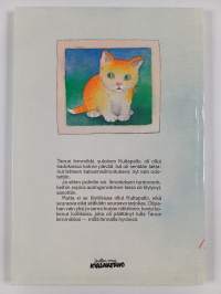 Auringonvärinen kissa