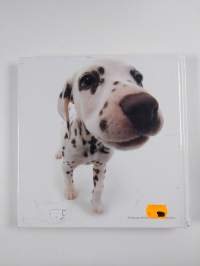 The dog artlist collection