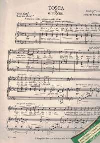 Love and Beauty (Vissi d&#039;arte) Tosca