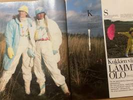 Kotiliesi 1986 nr 23, Kelujärvi vuoden kylä, Norma Heimolan koti koristautuu jouluun