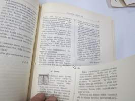 Punanen Viesti (Punainen wiesti) 1913 - Sosialidemokraattinen kevätjulkaisu, propagandistinen, osin tosipohjaista tekstiä, osin kaunokirjallista, kuvitusta