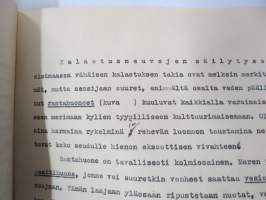 Kalastus. Läherinen mewri, jossa on tiheässä saaria ja luotoja... -tunnistamaton, päiväämätön, painamaton opinnäyte / käsikirjoitus, kalastusaihe