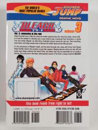 Bleach, Vol. 3