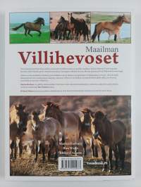 Maailman villihevoset