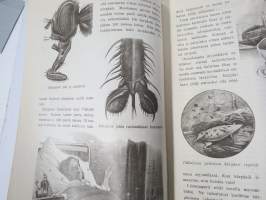 Työtoveri 1931 nro 3 - Osuuskauppain toimihenkilöiden ammattilehti, mm. mainontaan liittyviä artikkeleita ja materiaalia