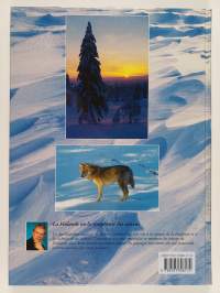 La Finlande : ou la symphonie des saisons