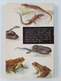 Retkeilijän kalaopas : kalat, sammakkoeläimet ja matelijat