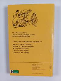 Five on Kirrin Island Again